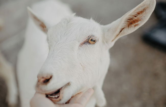 Paradise Ranch - Foto 28