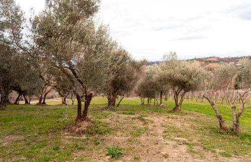 Casa Pace e Gioia - Foto 37