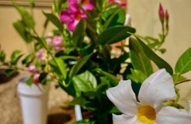 Villa Labianca - Photo 7