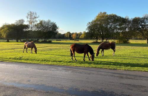 Delightful 3-bedroom Cottage, Brockenhurst - Foto 29