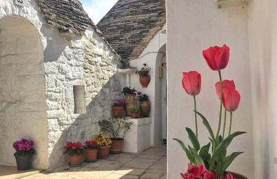 Casa Magnolia - Foto 56