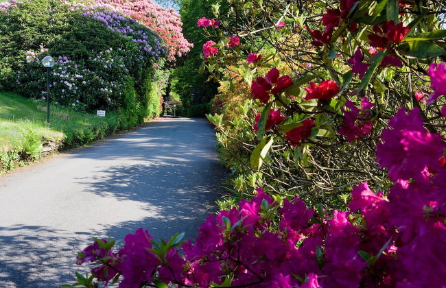 Lindeth Fell Country House - Foto 71