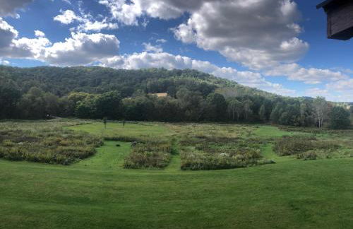 Star Hawk Springs Chateaux - Large 6 Bdrm Retreat - Foto 32