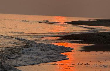 Gold Apartament z widokiem na morze Dziwnówek - Foto 37