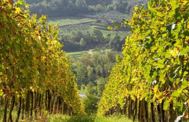 Tuscany Bliss: Garden Retreat - Foto 28