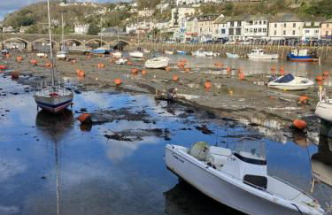 The Hillocks, Looe - Two Bedroom House with Fabulous Views of Looe Town and Harbour - Foto 22