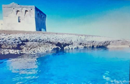 b&b Stella marina torre guaceto - Foto 20