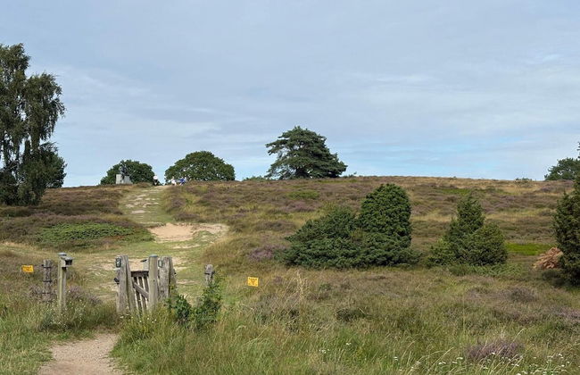 5 Star Holiday Home in Dronningmolle - Foto 25