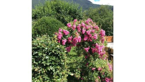 Holiday apartment with 2 bedrooms - Foto 3, Other