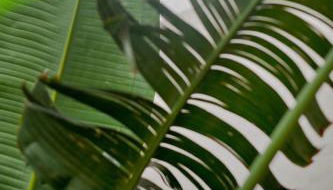 Apt Oasis LuxuryRentalsMurcia - Foto 5