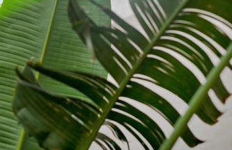 Apt Oasis LuxuryRentalsMurcia - Foto 5