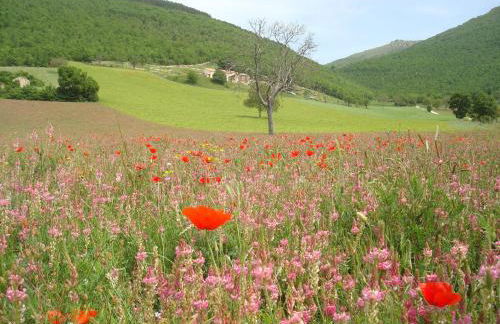 Casale Coccinella - Foto 17
