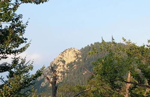 Mas Vilar, relax, nature and slow Exclusive Only 6 rooms - Foto 9