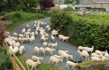 Wonderfully Scenic and Comfortable Dales Mill Property - Photo 48