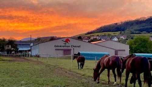 Ferme Équestre - Vue Unique sur les Chevaux - Foto 2