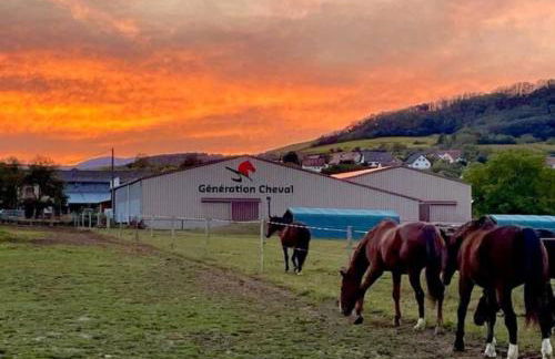 Ferme Équestre - Vue Unique sur les Chevaux - Foto 2
