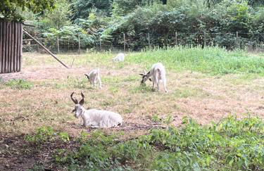 Maison des Sources Touraine -SPA- - Foto 50