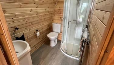 The Pod Patch - Trelerney Pod - Foto 4