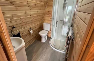 The Pod Patch - Trelerney Pod - Foto 4