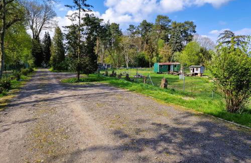 Doppelhaushälfte Ostwind vom Naturhof Usedom - Foto 36