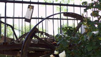 Lujosa casa en la cuna del Quijote - Photo 3, Garden view