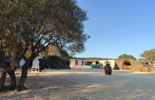 Cuile Casari - Foto 32