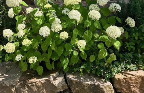 Ferien-Apartment im Genusshotel Hirschen (Südschwarzwald) - Foto 29