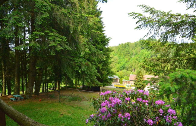 Chalet & Gypsy Caravan in Green & Peaceful Environment near Houffalize - Foto 36