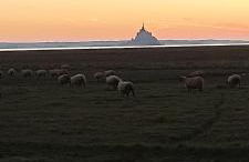 Mont Gîte Des Herbus Puccinellie avec Jacuzzi 2 personnes entre Granville et Mont Saint Michel - Foto 13