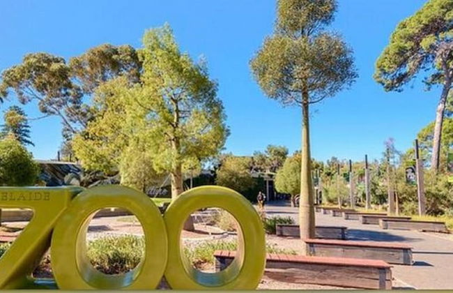 Adelaide Style Accommodation near City - Foto 33