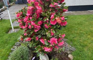 Hillside View, Inverness - Foto 7