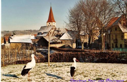 Plein Sud vue sur les Vosges et le vignoble - Foto 38