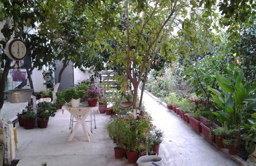 Studios Maro - Foto 27