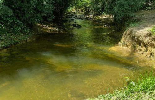 Sítio no Rio de Janeiro, privativo, Natureza, conforto e lazer em Nova Iguaçu, RJ - Foto 45