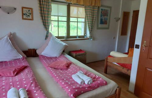 Farma Zdrowia - Foto 13