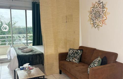 Studio lumineux sans vis a vis avec balcon privé - Foto 2