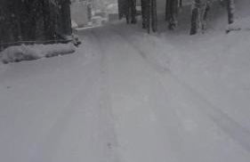 The family bienvenidos a Canfranc - Foto 30