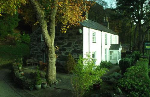 Red Dragon Cottages nr Mt Snowdon - Photo 37