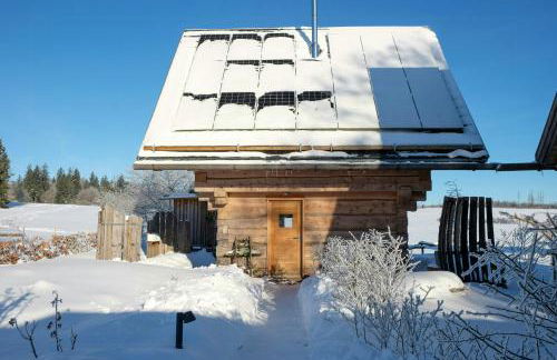 Log Cabin With Sauna In The Upper Harz Mountains - Foto 32