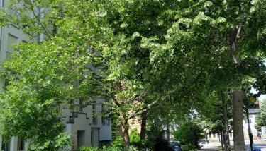 Appartement Denis - Foto 4