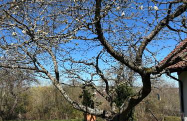 Ferienwohnung im Bodenseeraum - Foto 18