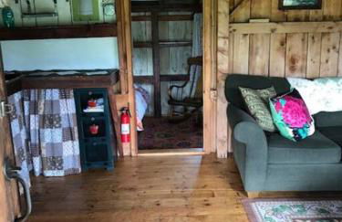 The Hunter Cabin at Sky Hollow - Foto 32