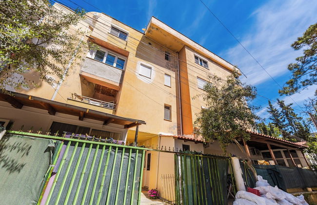 Mabel - The Rooftop Experience - Photo 15