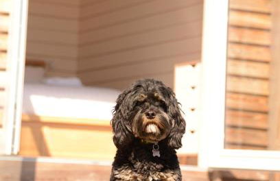 Toradh Cabin - Photo 14