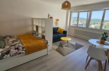 Studio La Belle Vue -Proche Hyper Centre-ville- - Foto 1