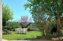 La troglo aux oiseaux - Foto 28