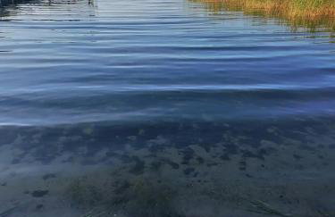 Wyciszek - mazurska agroturystyka - Foto 40