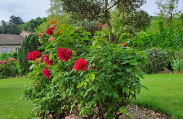 Gîte 1 "Mimosa" aux Magnolias - Foto 20