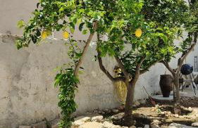 Sicilia bedda - Foto 59