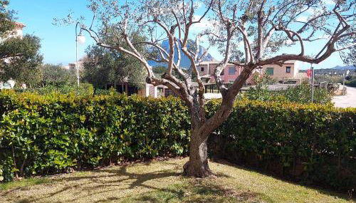 Il Borgo - Appartamento "Taurus" - Foto 2, Garden